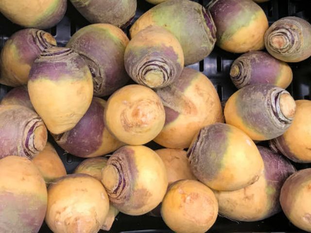 Rutabaga